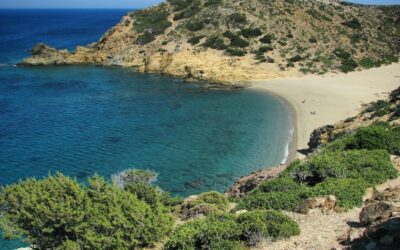 Pourquoi louer un van aménagé pour vos vacances ? Avantages & conseils