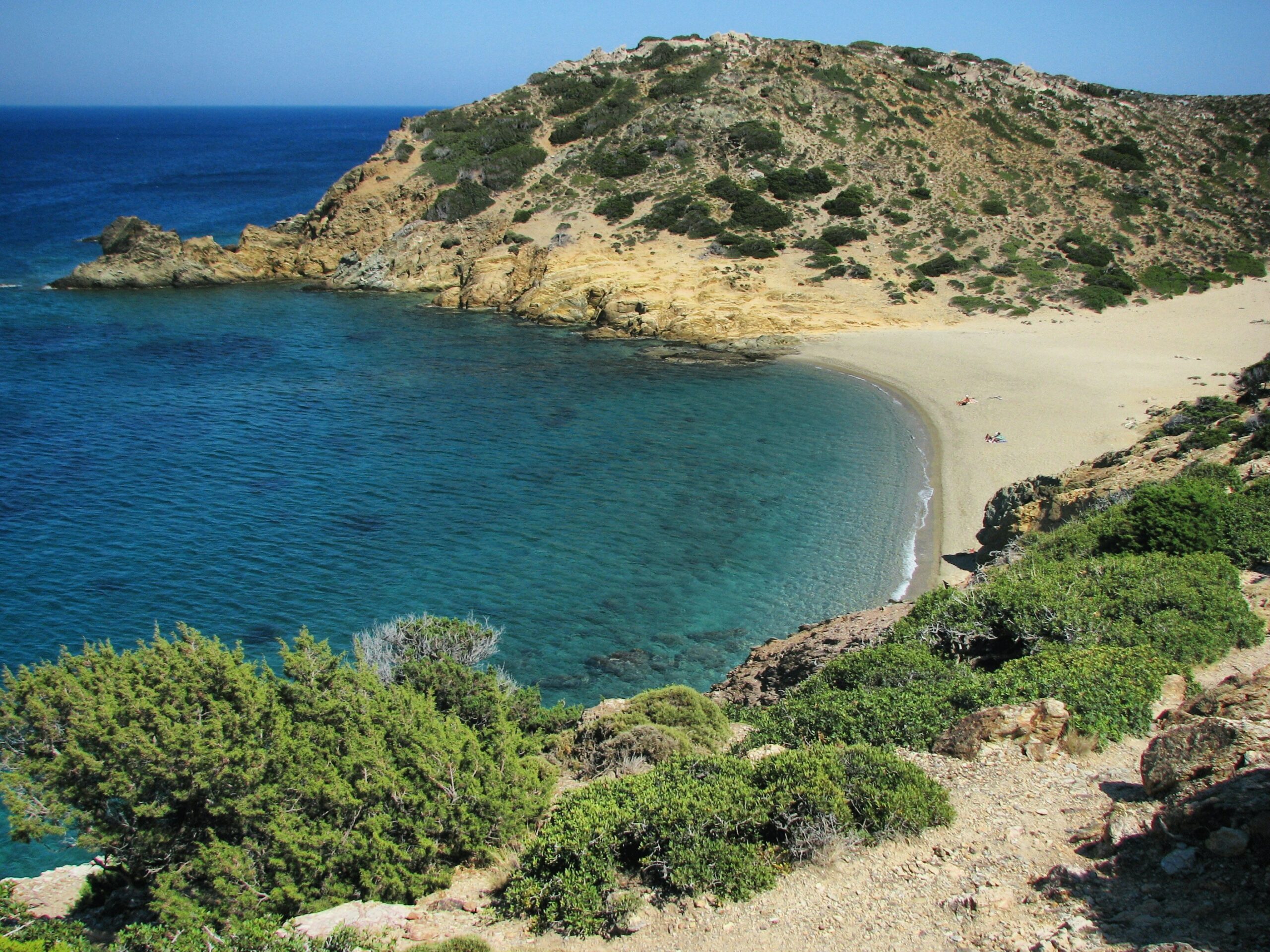 vue sur une plage bordée de nature