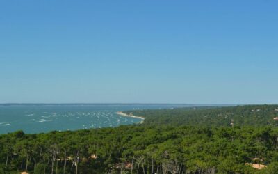Road trip en van sur la côte Atlantique : l’itinéraire idéal pour vivre l’aventure